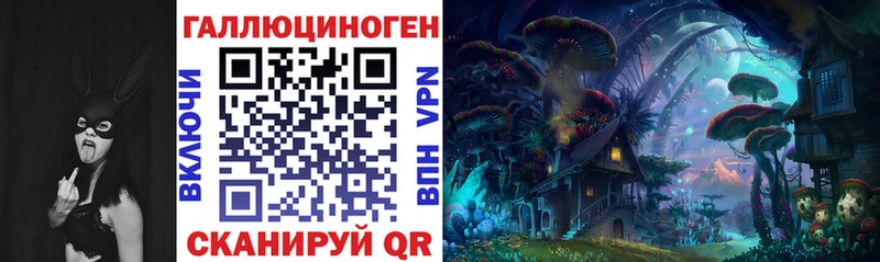 Псилоцибиновые грибы Psilocybine cubensis  Лянтор 